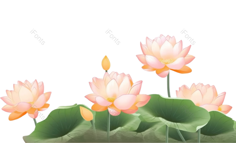 叶子图片,元素元素,清新PNG,荷花免抠素材